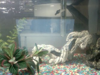 Photo on 2011-01-16 at 19.22.jpg Photo on 2011-01-16 at 19.22.jpg