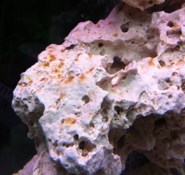 Rocks1.webp