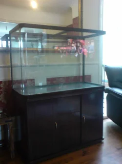 NewTank.webp