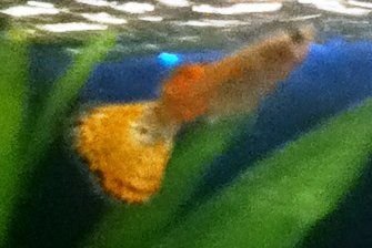 IMG_0713.JPG