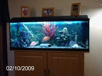 larissa 001.webp