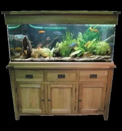 TANK1.webp