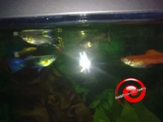 01032011117-1600-400.webp