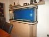 fish tank.webp