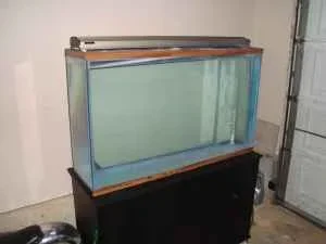3m23oc3l55Z65P05S3b36e0e5b1f7264b137b.webp