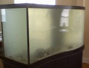 murkyaquarium.webp