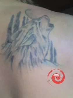 tattoo pics 007-400.webp