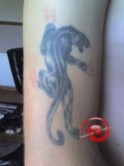 tattoo pics 009-400.jpg