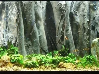 Super_Realistic_3D_Aquarium_Background.webp