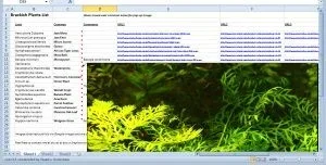 brackish_spreadsheet_thumb.webp