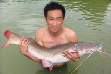 july2009_0056_Asian_red_tail_catfish_Jason.JPG