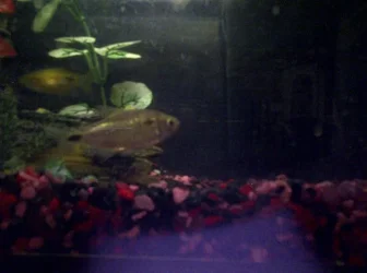 IMG-20110320-00057.webp