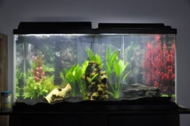 misc 009.JPG misc 009.JPG