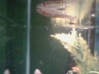 0329011804b.webp