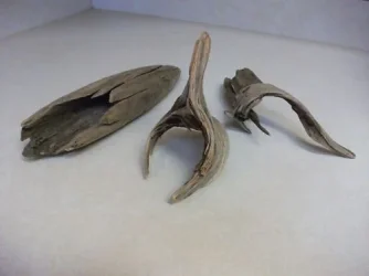 FISH PIECES.webp