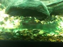 photo (1).webp