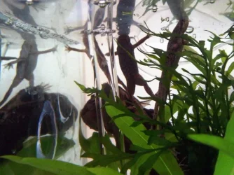 IMG-20110409-00009.webp