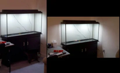 Tank Collage.webp