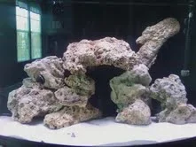 tank.webp