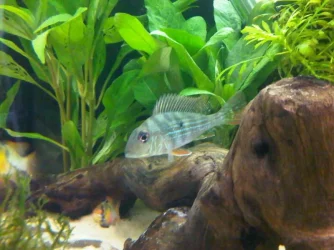 IMG00111-20110429-1328.webp