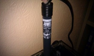 imag0106.jpg
