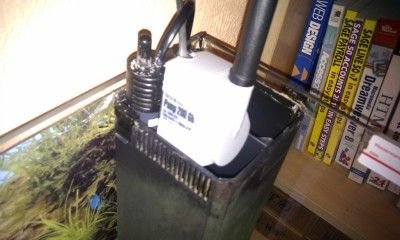 imag0105.jpg