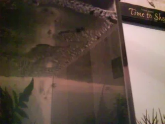 carbon1.webp