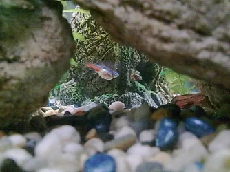 Image0917 (Small).webp