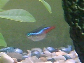 Image0925 (Small).webp