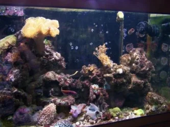 FTS May 11.webp