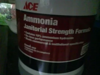ammo.webp