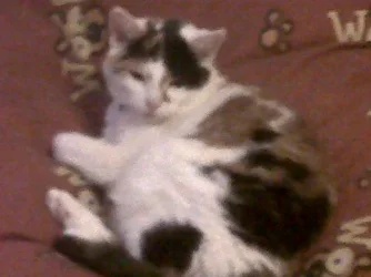 IMG00101-20110215-2151.webp