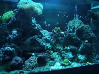 FTS june 2 2011.webp