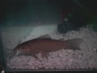 2011-06-02 21.57.31.webp