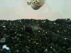 IMG_01517.JPG IMG_01517.JPG