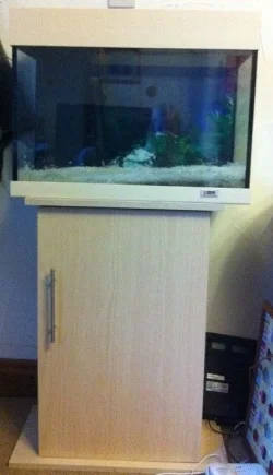 fish tank2.webp