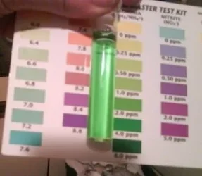 2ppm.webp