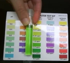 1ppm.webp