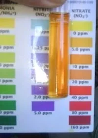 nitrate.webp