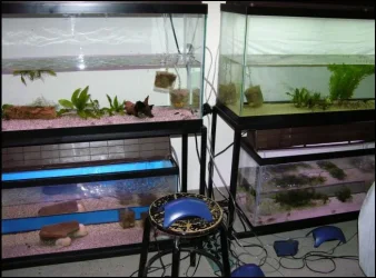 Water changes.webp