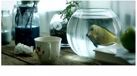 Fish.2.jpg