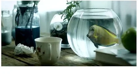 Fish.2.webp