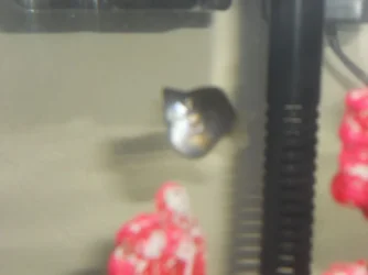 DSCN0771.webp