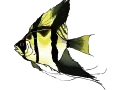 1239376507583.webp
