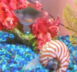 DSCN0818.webp