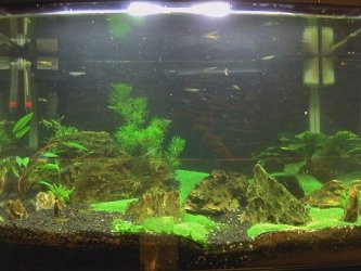 CameraZOOM-20110617175357.jpg