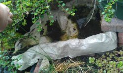 waterfall.jpg waterfall.jpg