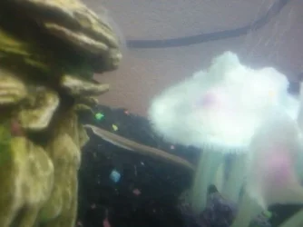 Photo06181135_1.webp