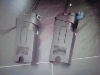 P190611_14.21.webp