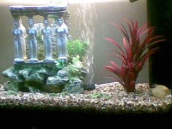 21062011(003).jpg